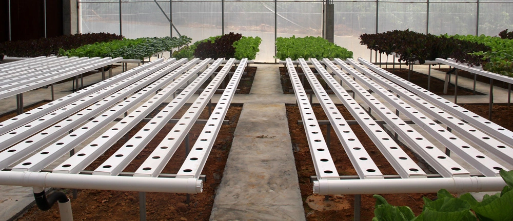 Hydroponics Greenhouse Lettuce Nft Growing System Aquaponics Grow Kit