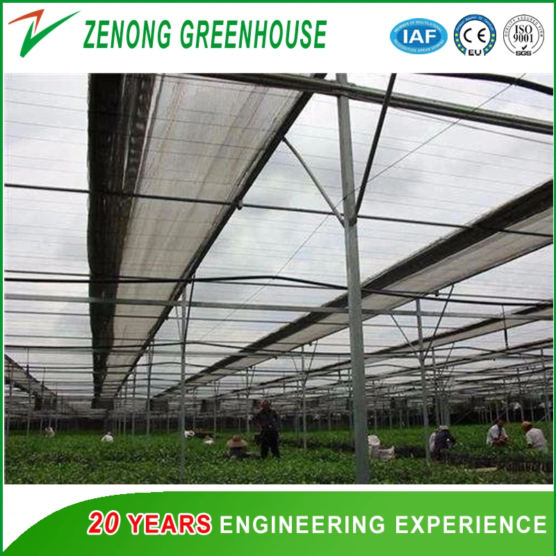 Effective Greenhouse Outside Shading Screen for Lowing The Temperature Not Sunburn The Crops