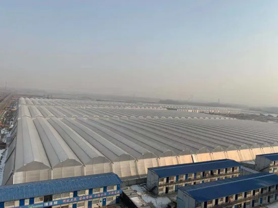 China Solar Film Greenhouse with Heating Storage and Releasing System for Vegetables Flowers