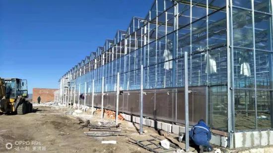 Agriculture Commercial Greenhouse with Aquaponics/Cooling Fan/Heater/Boiler/Net for Plant Fruit
