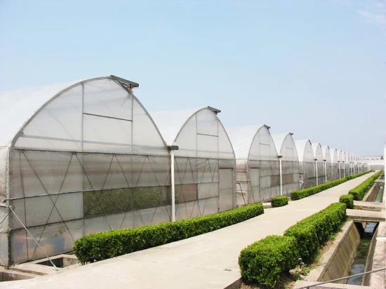 2023 New Plastic Film Poly Tunnel Greenhouses Multi Span Arch Type Agriculture Green Houses with Irrigation/Cooling/Ventilation Systems for Lettuce/Tomato