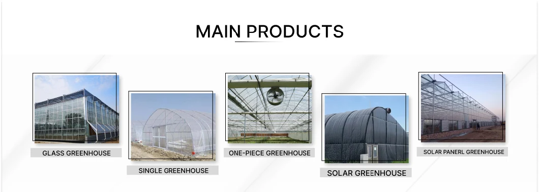 2023 Low Cost Cultivation in Greenhouse Single Span Dome Plastic Film Greenhouse