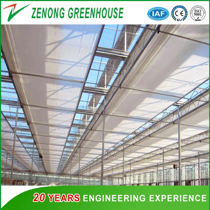 Dome Roof Greenhouse Covered with Durable Film for Seed Nursery/Vegetable Planting/Flowers Growing