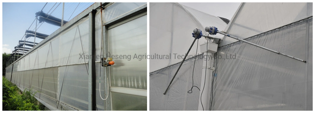 China Agriculture/Commercial Poly-Tunnel Plastic Film Greenhouses with Ventilation for Rose/Flower/Tomato/Pepper/Srawberry/Soilless Hydroponics Growing